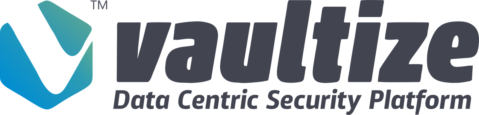 Vaultize Logo